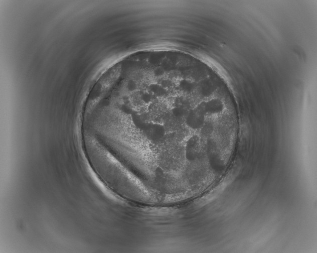 X0000110871429200907021427