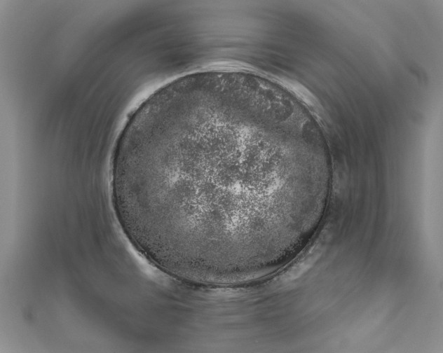 X0000110871430200907021427