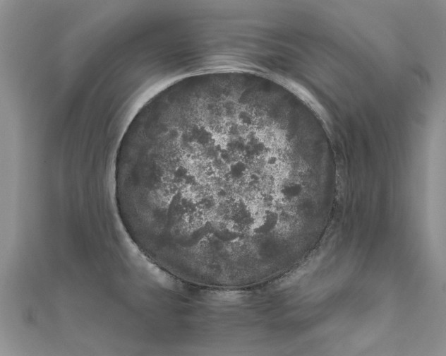 X0000110871431200907021427