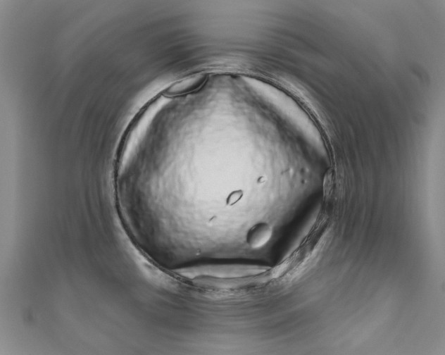 X0000110871434200907021427