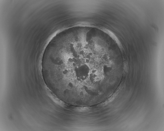 X0000110871435200907021427