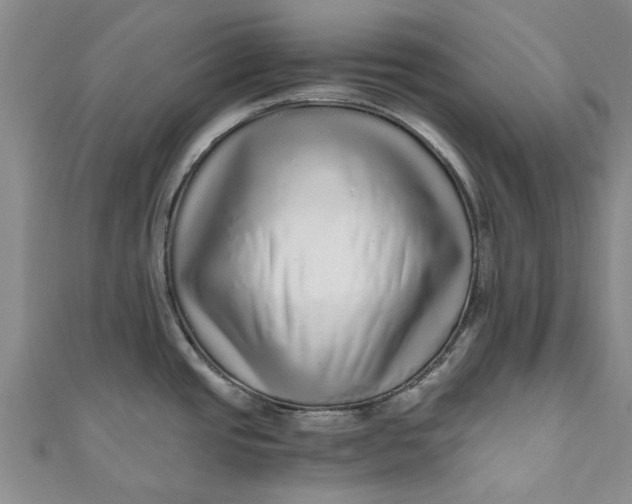 X0000110871437200907021427