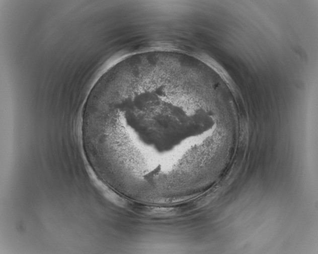 X0000110871439200907021427