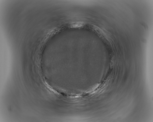 X0000110871441200907021426