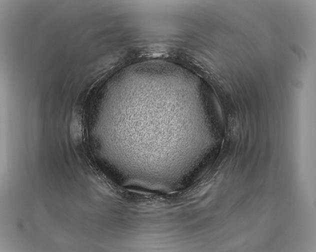 X0000110871442200907021426