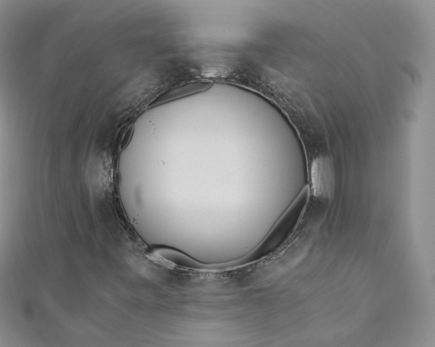 X0000110871443200907021426