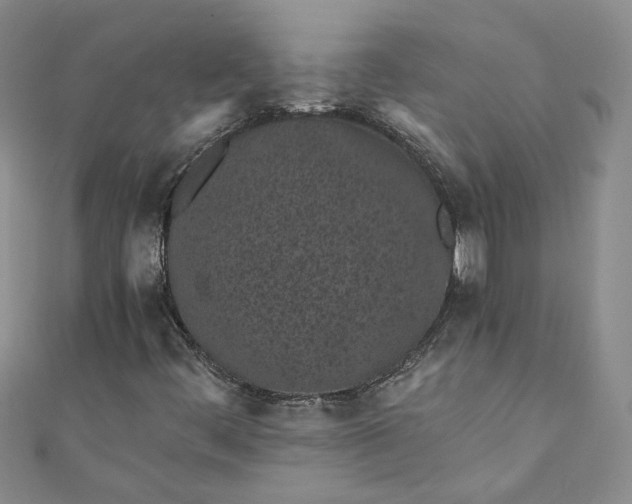 X0000110871444200907021426