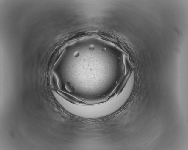 X0000110871445200907021426