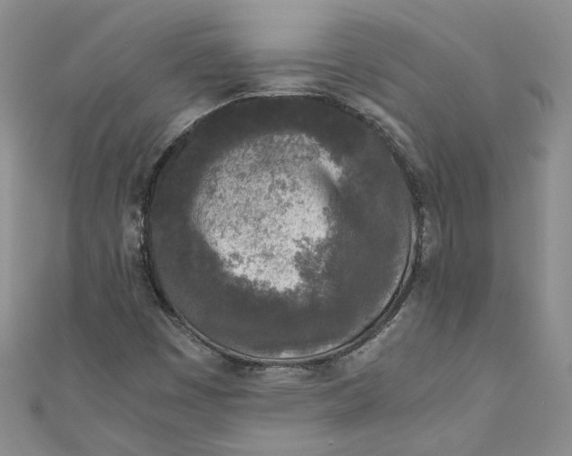 X0000110871449200907021426