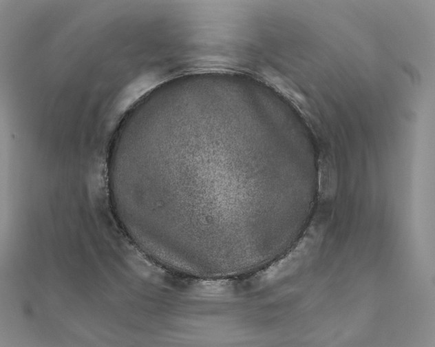 X0000110871453200907021426