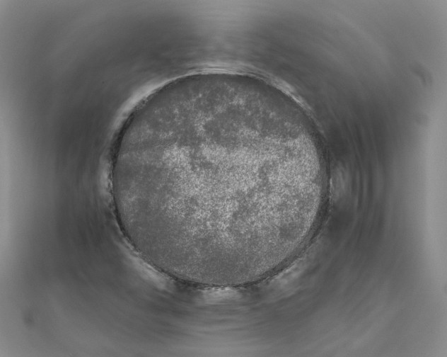 X0000110871454200907021426