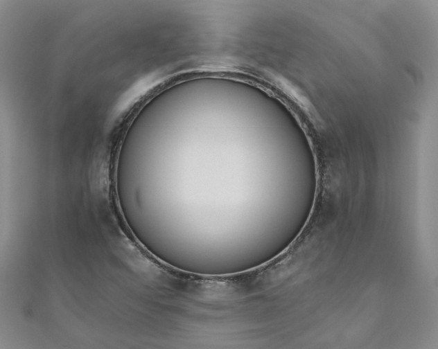 X0000110871456200907021426