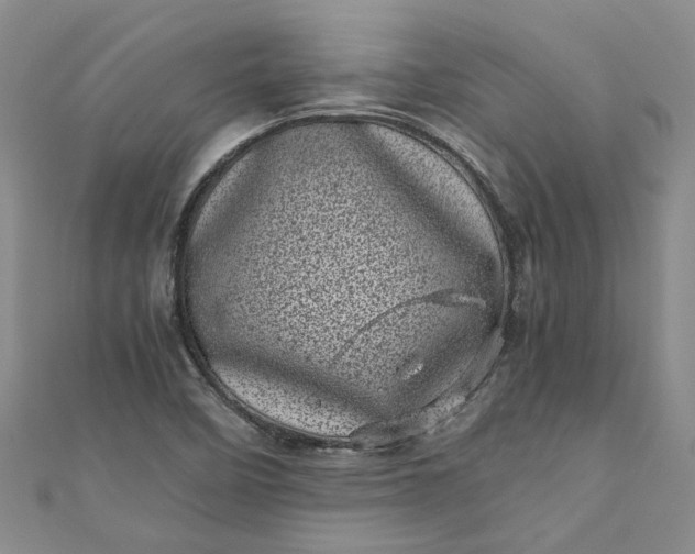 X0000110871458200907021426