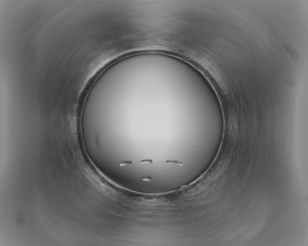 X0000110871460200907021426