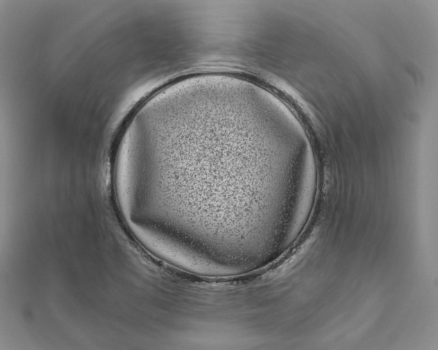 X0000110871461200907021426