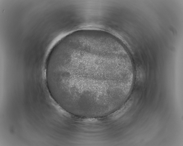 X0000110871462200907021426