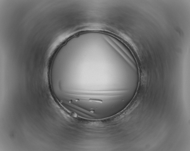 X0000110871464200907021426