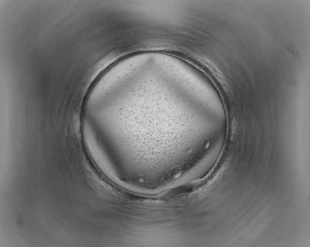 X0000110871465200907021426