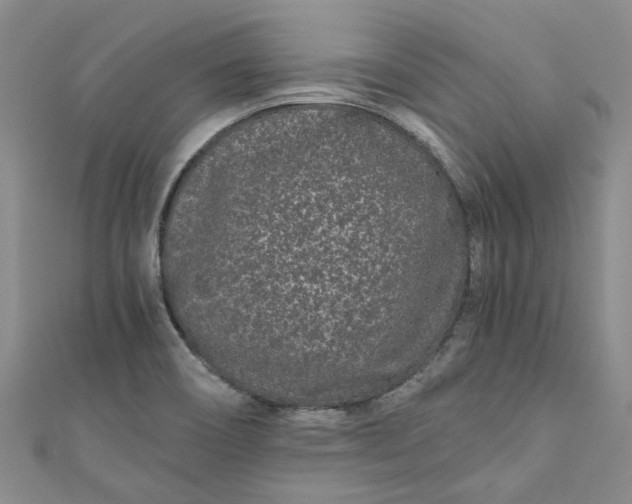 X0000110871466200907021426