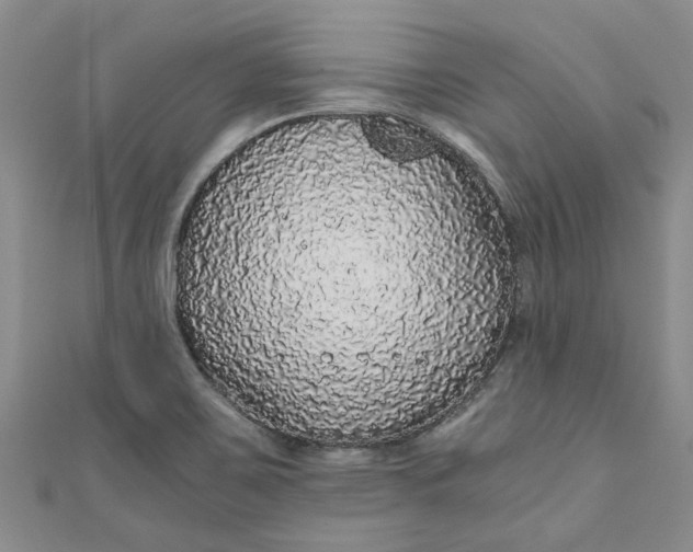 X0000110871467200907021426