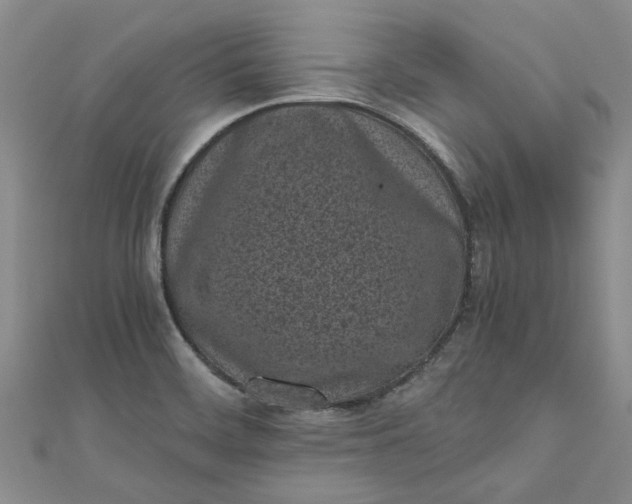 X0000110871468200907021426