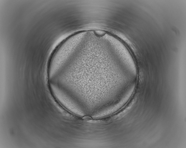 X0000110871469200907021426