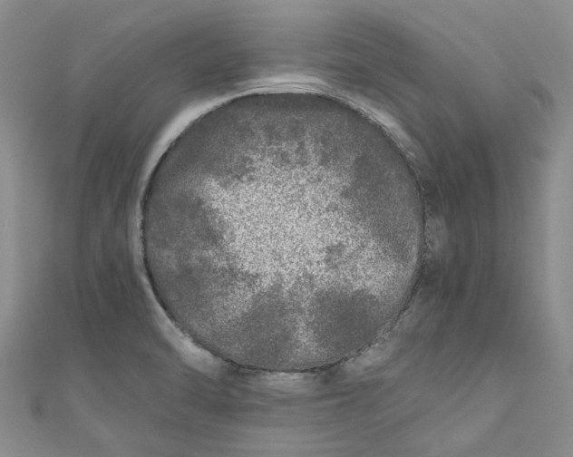 X0000110871470200907021426