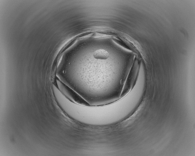 X0000110871473200907021426