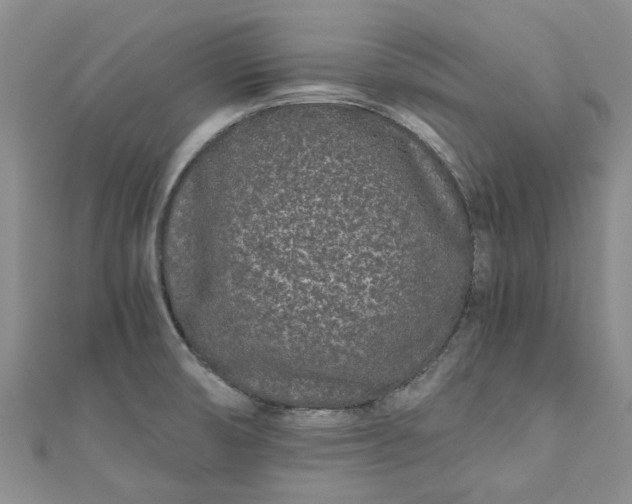 X0000110871474200907021426