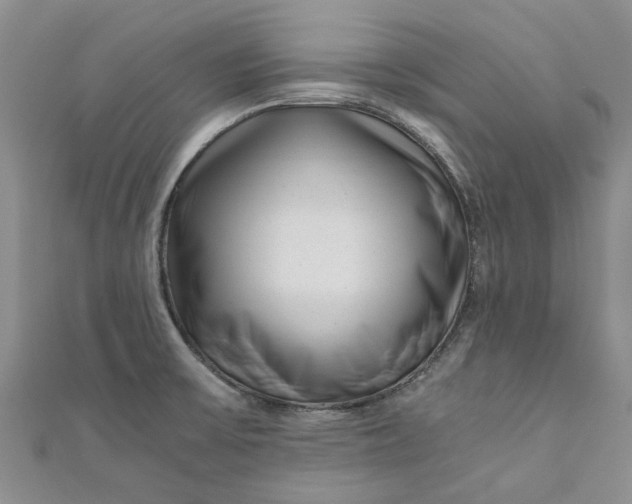 X0000110871475200907021426