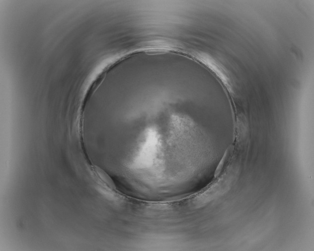 X0000110871477200907021426