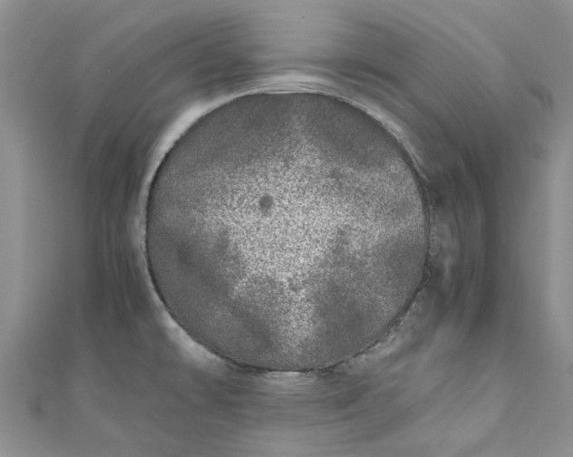 X0000110871478200907021426