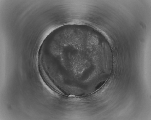 X0000110871479200907021426