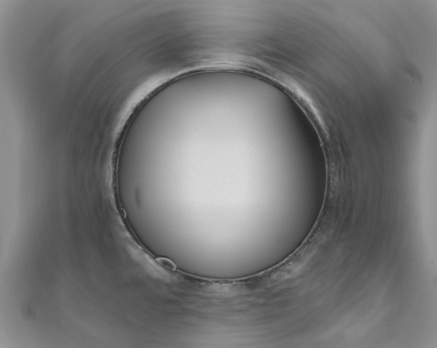 X0000110871480200907021426