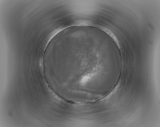 X0000110871481200907021426