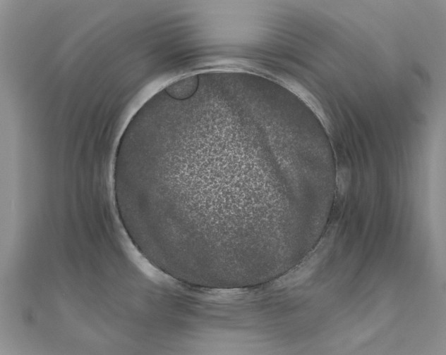 X0000110871482200907021426