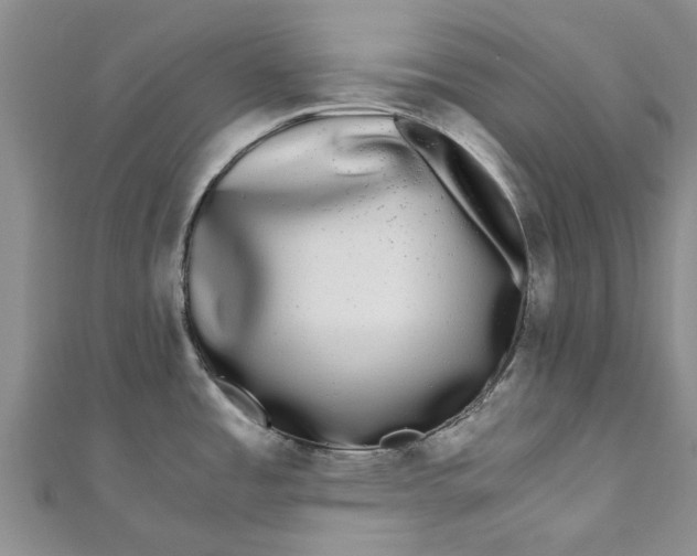 X0000110871485200907021426