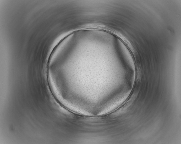 X0000110871486200907021426