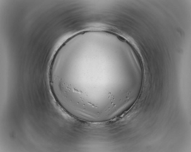 X0000110871488200907021426