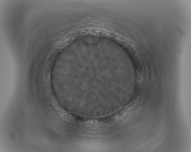 X0000110871489200907021425