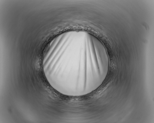 X0000110871490200907021425