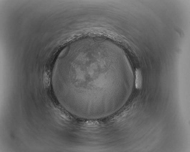 X0000110871491200907021425