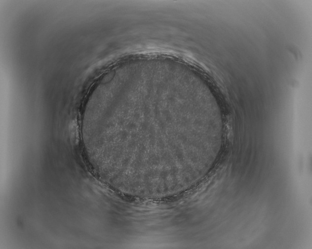 X0000110871493200907021425