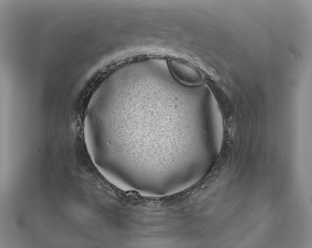 X0000110871495200907021425