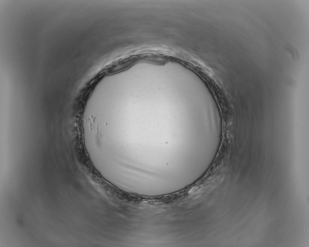 X0000110871496200907021425