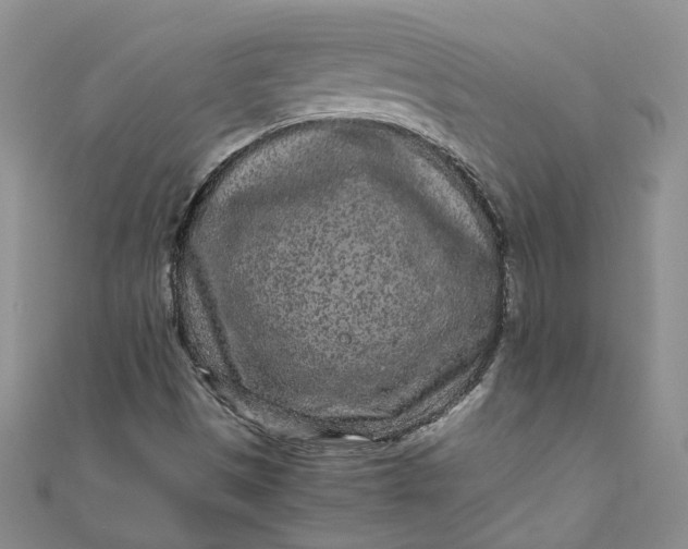 X0000110871497200907021425