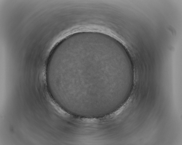 X0000110871498200907021425