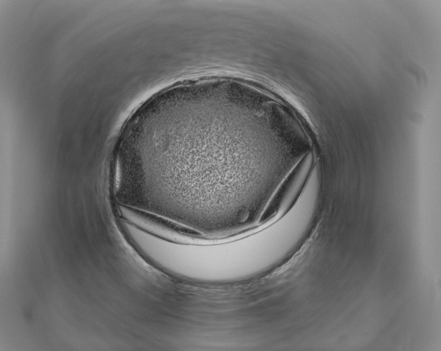 X0000110871500200907021425