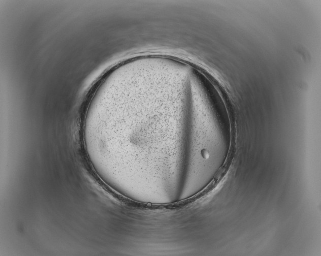 X0000110871502200907021425