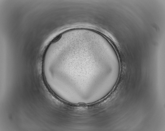 X0000110871504200907021425